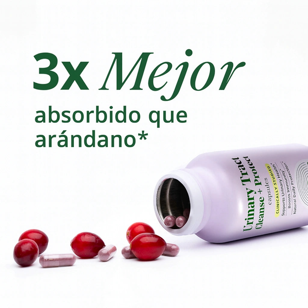 Detox Urinario