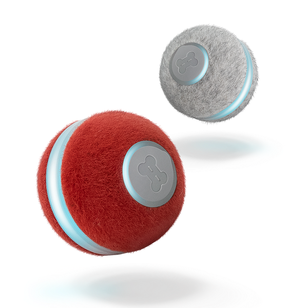 PELOTA PARA GATOS
