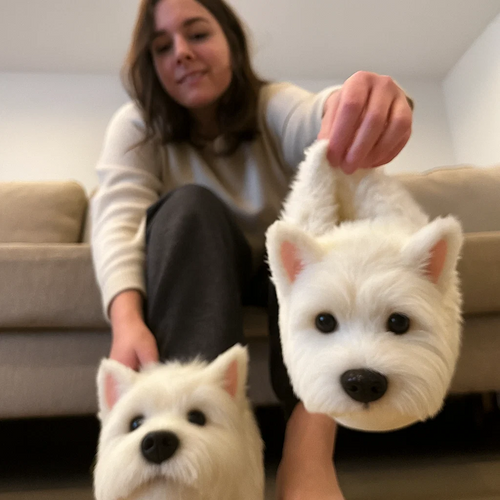 Pantuflas de Perro Súper Realistas — Siéntete como si caminaras con tu perro en cada paso 🐶