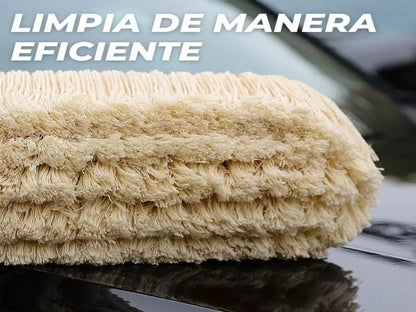 CEPILLO PARA CARRO