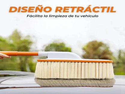 CEPILLO PARA CARRO