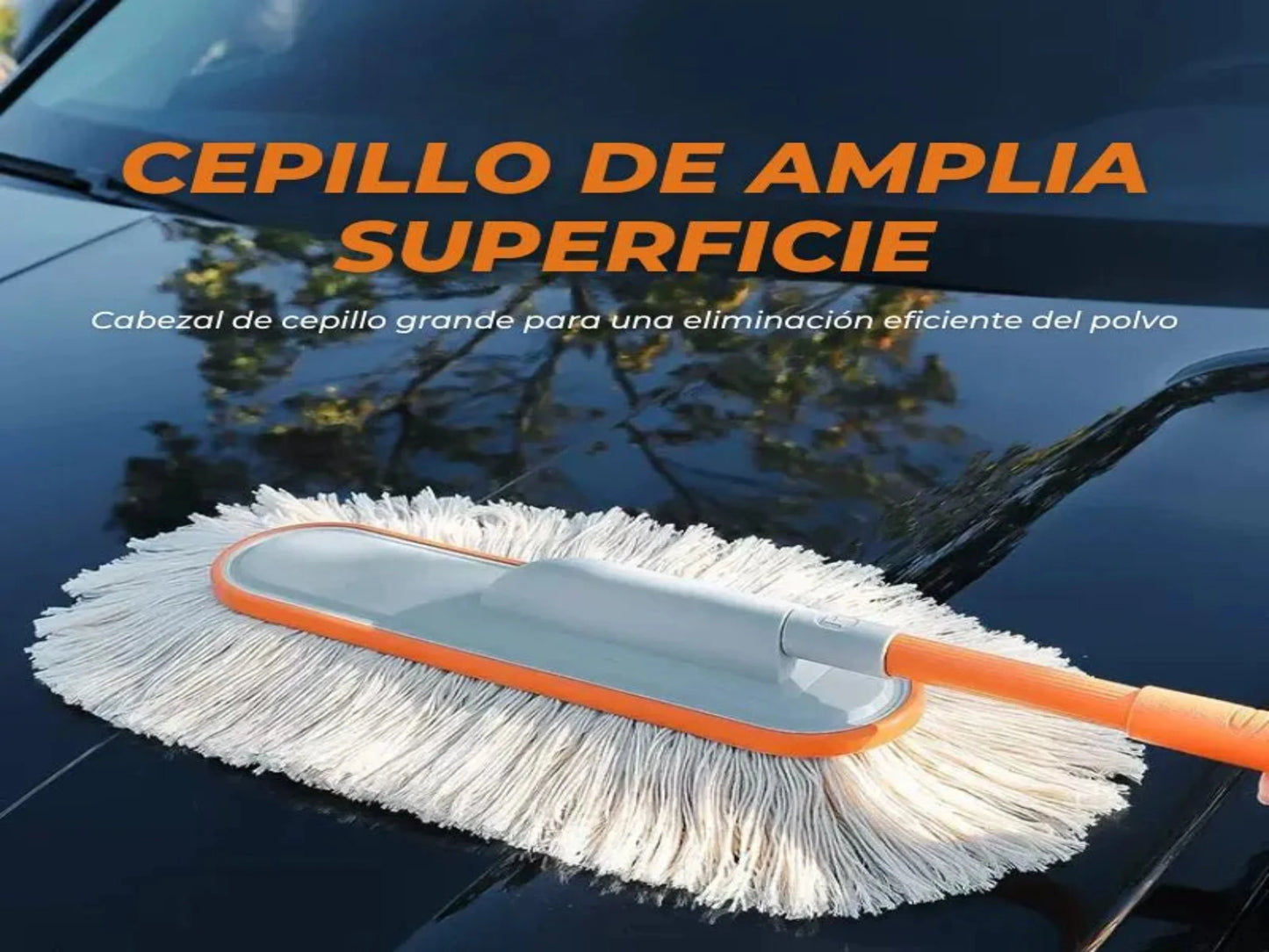 CEPILLO PARA CARRO