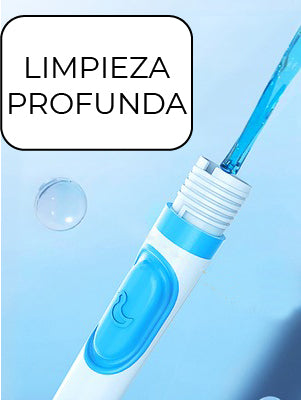 CEPILLO PARA INODORO