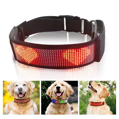 COLLAR LED PARA PERRO