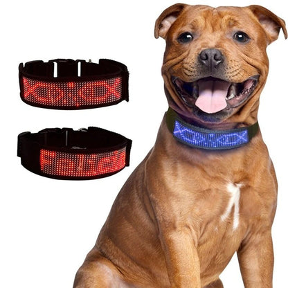 COLLAR LED PARA PERRO