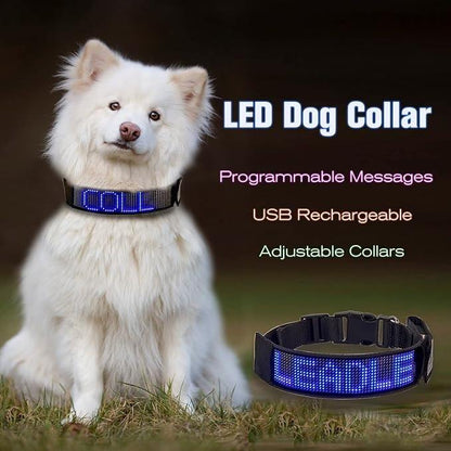 COLLAR LED PARA PERRO
