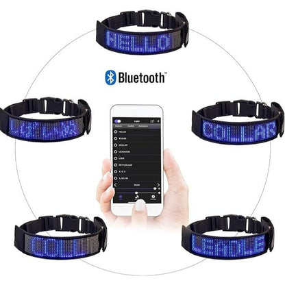 COLLAR LED PARA PERRO