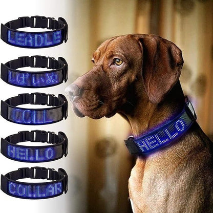 COLLAR LED PARA PERRO