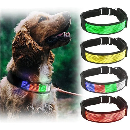 COLLAR LED PARA PERRO