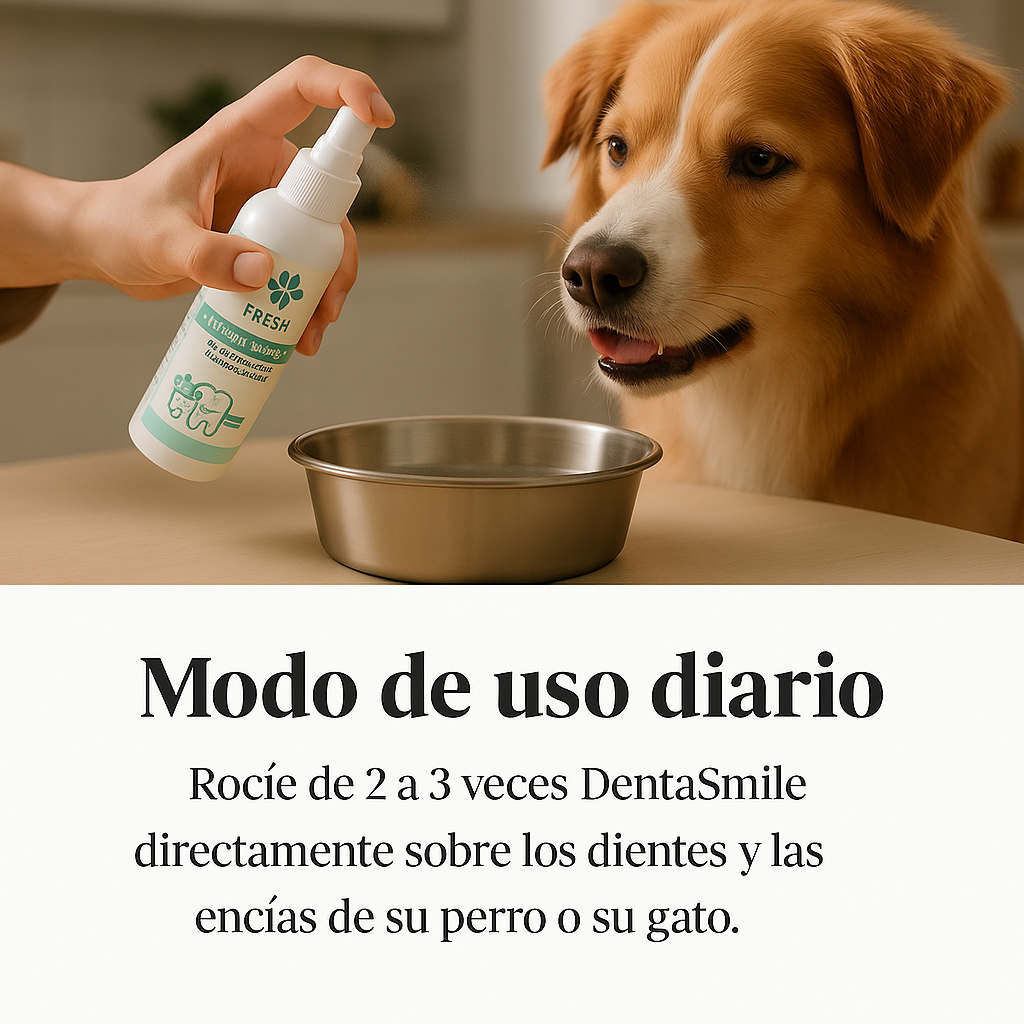 DentaSmile - Elimina el sarro en 90 días