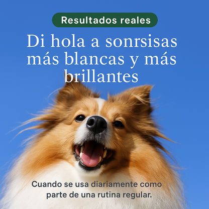 DentaSmile - Elimina el sarro en 90 días