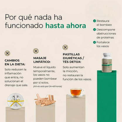 Nueva Fórmula de Máxima Potencia – Cápsulas para Drenaje Linfático