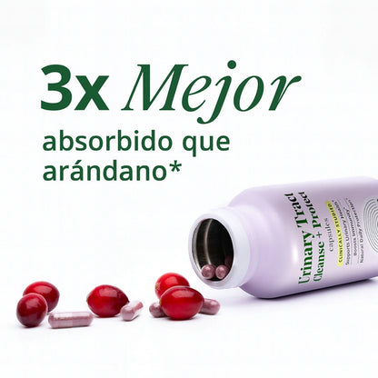 Detox Urinario