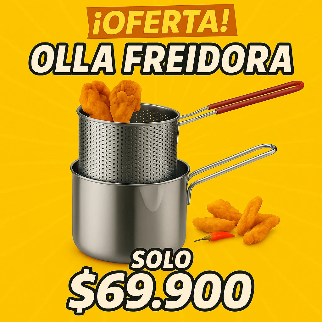 FREIDORA DE ACERO INOXIDABLE