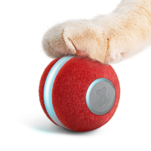 PELOTA PARA GATOS