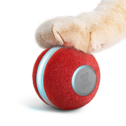 PELOTA PARA GATOS