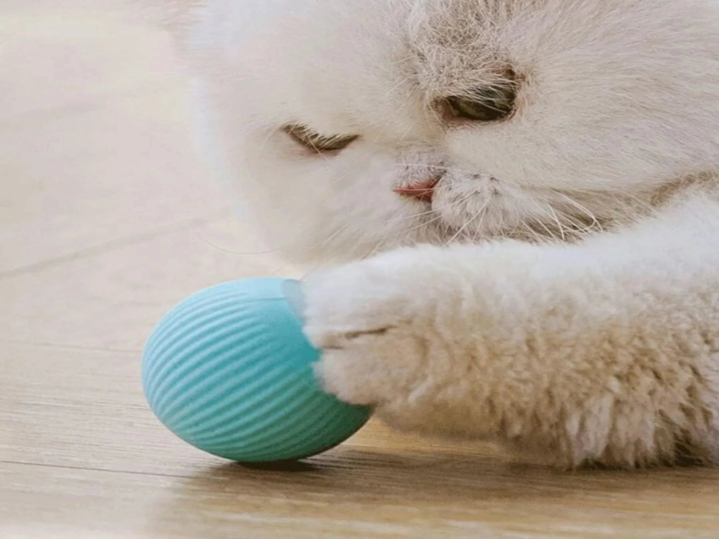 PELOTA INTELIGENTE