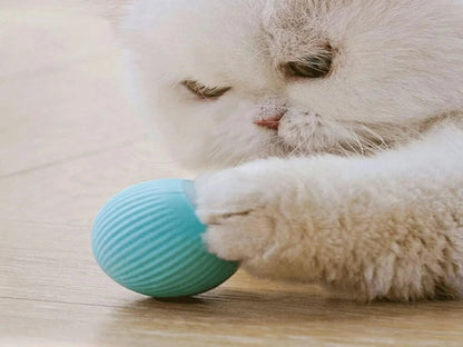 PELOTA INTELIGENTE
