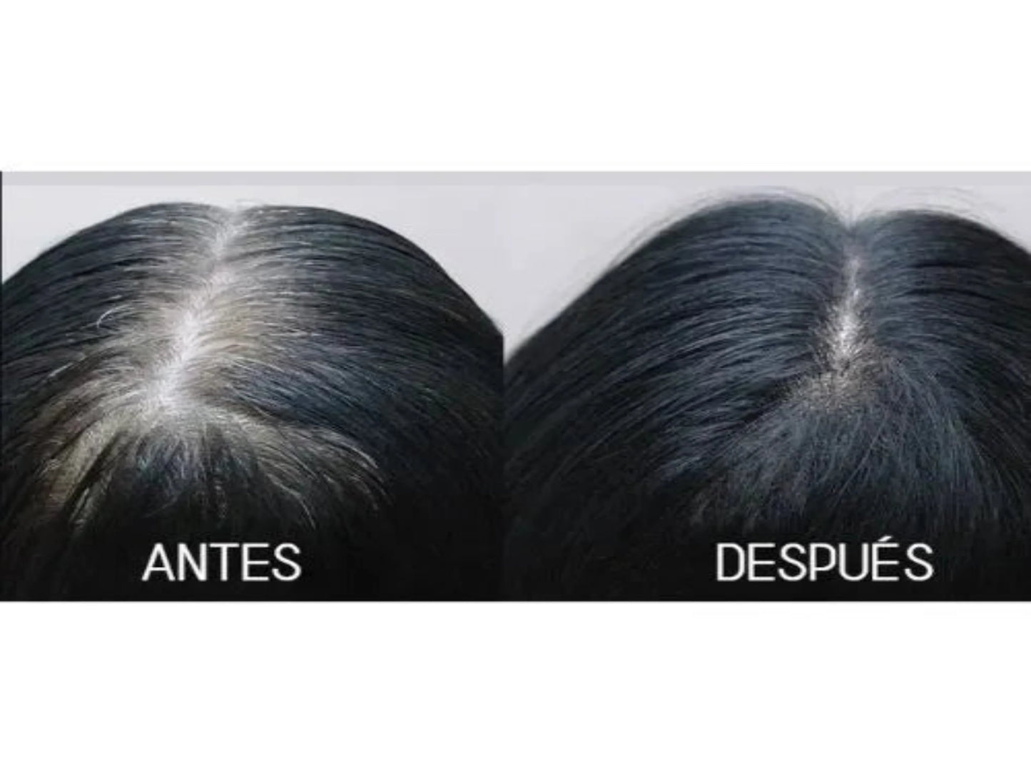 PIGMENTINA - MASCARILLA PARA CABELLO