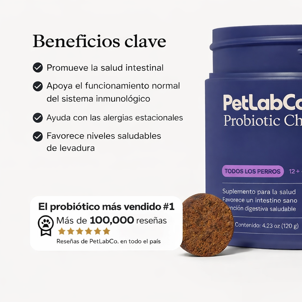 Conoce el primer probiótico masticable suave para perros clínicamente estudiado