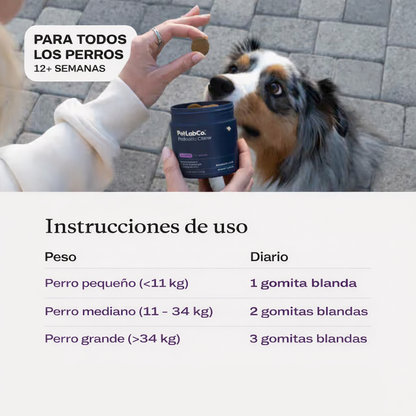 Conoce el primer probiótico masticable suave para perros clínicamente estudiado