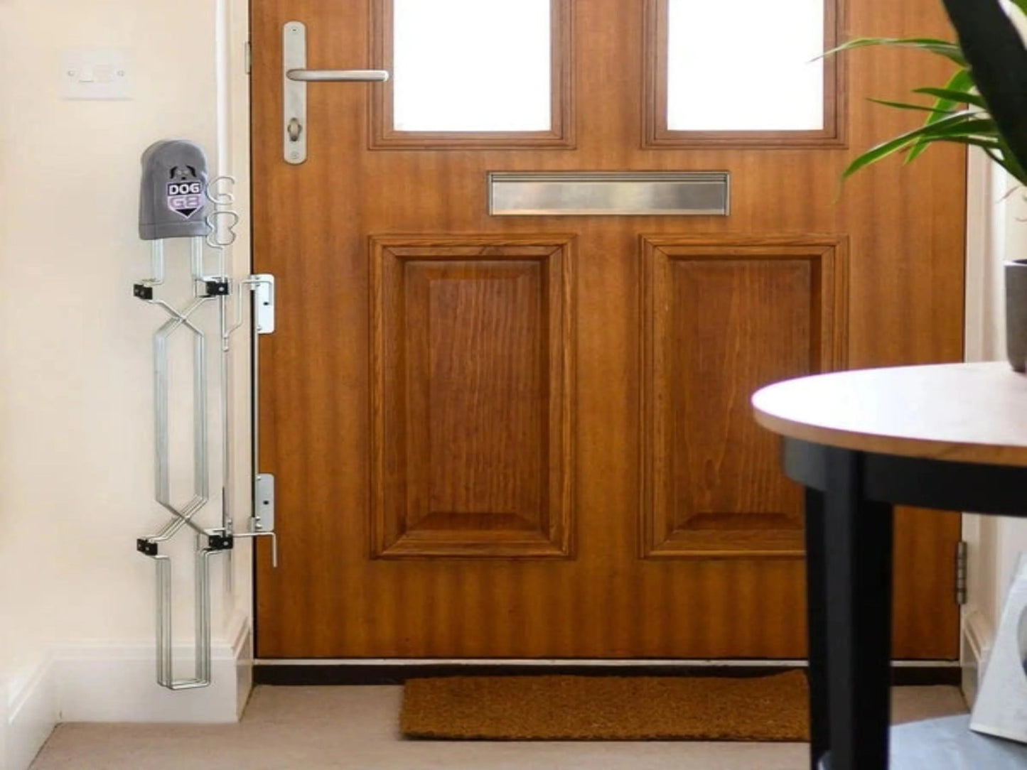 PUERTA PLEGABLE PARA PERROS