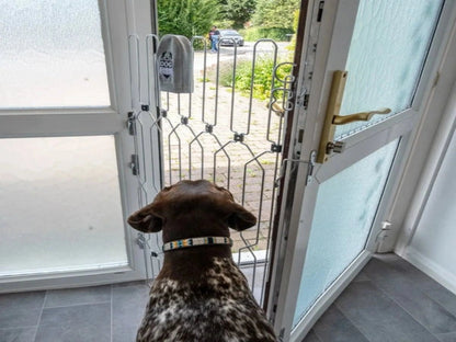 PUERTA PLEGABLE PARA PERROS