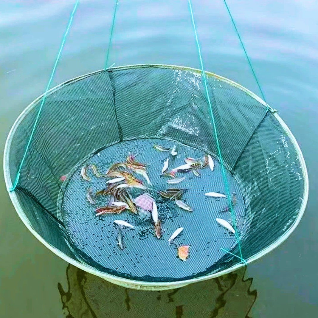 RED DE PESCA
