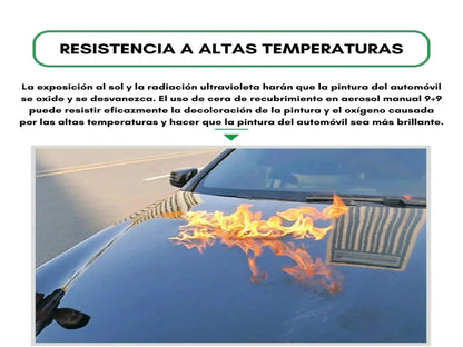 REVESTIMIENTO CERÁMICO PARA CARRO