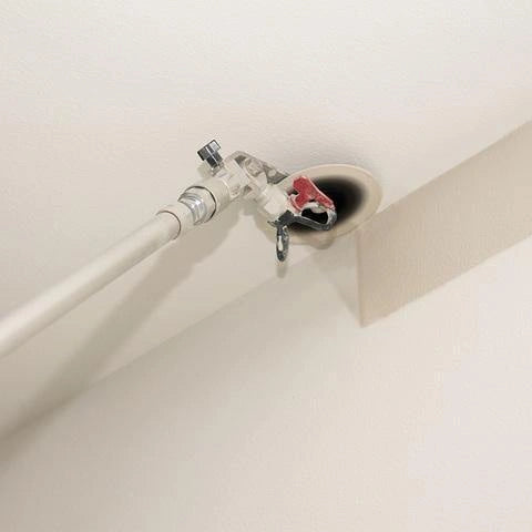 SprayMaster | Spray para Bordes